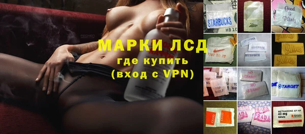 гашик Аркадак