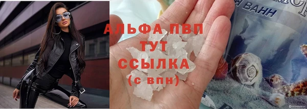 гашик Аркадак