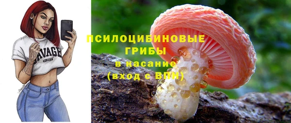 меф Арсеньев