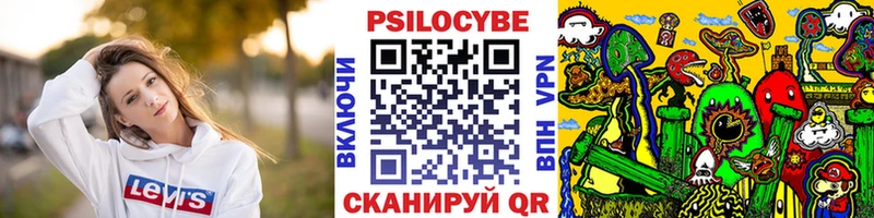 Купить закладки  Нижняя Тура  Псилоцибиновые грибы мицелий 